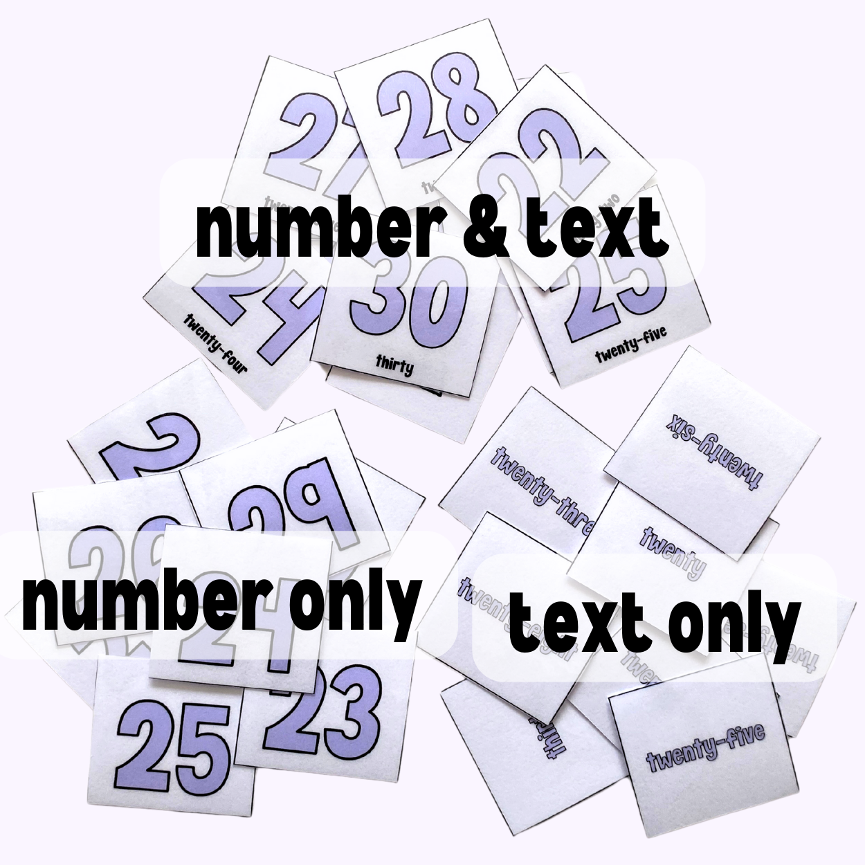 Numbers 20-30 Matching File Folder Activity for Self Contained Classrooms