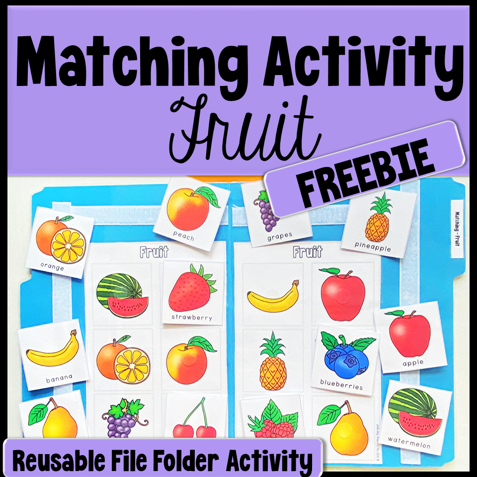 Matching File Folder Activities - MEGA BUNDLE