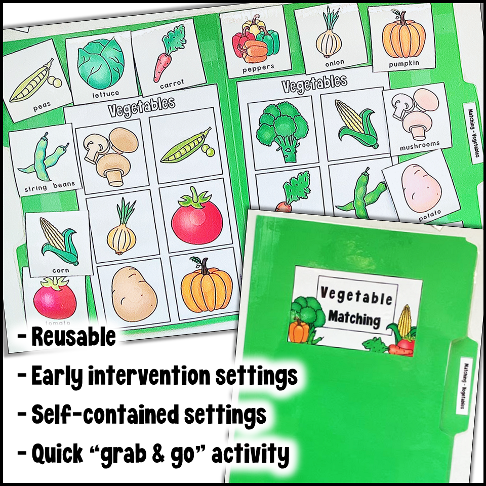 Vegetable Matching File Folder